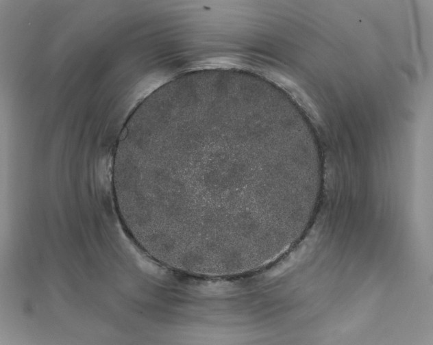 X0000112001233200908031222