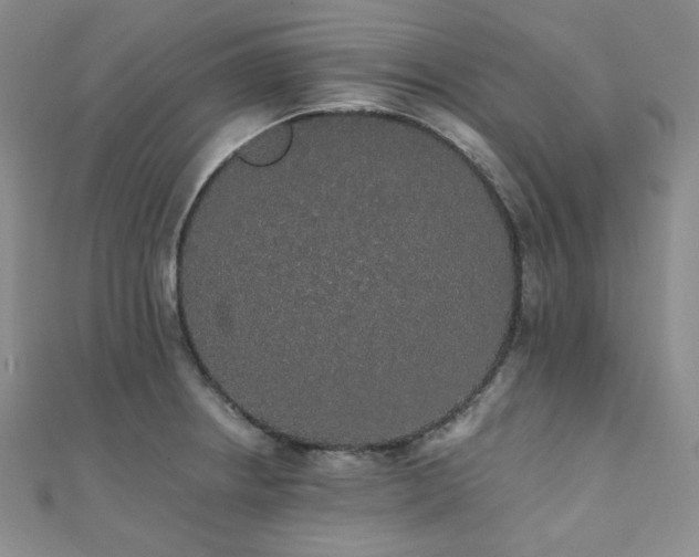 X0000112001234200908031222