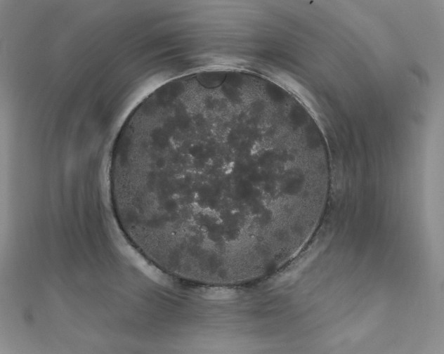 X0000112001235200908031222