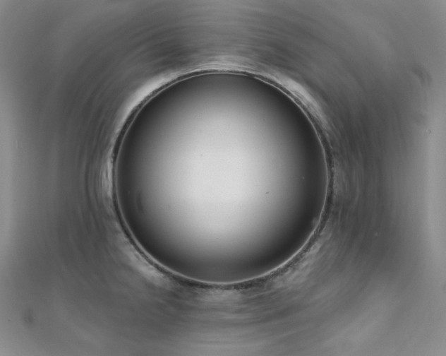 X0000112001238200908031222