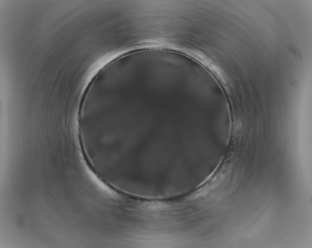 X0000112001239200908031222