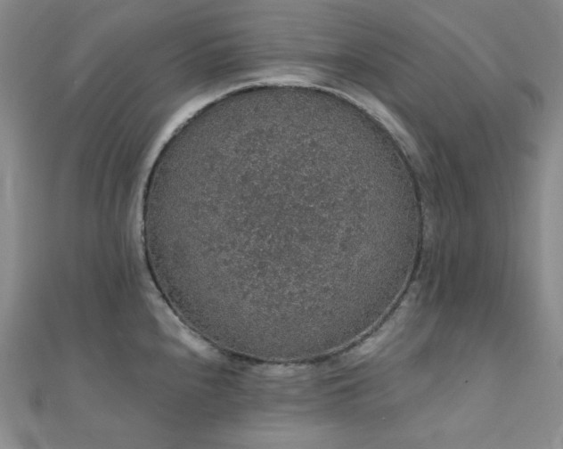 X0000112001240200908031222