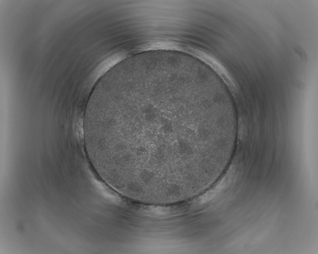 X0000112001241200908031222