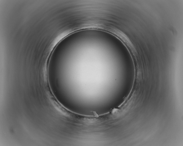 X0000112001242200908031222