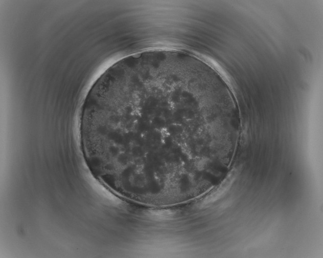 X0000112001243200908031222