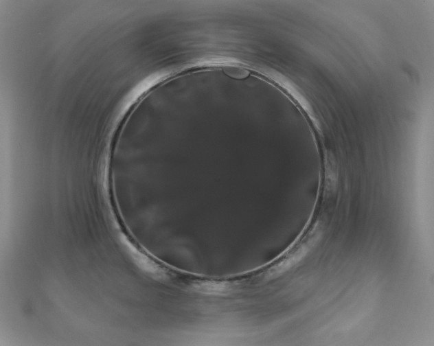 X0000112001245200908031222