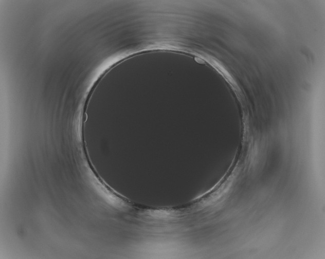 X0000112001246200908031222