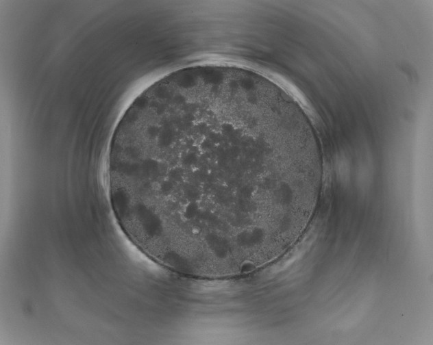 X0000112001247200908031222