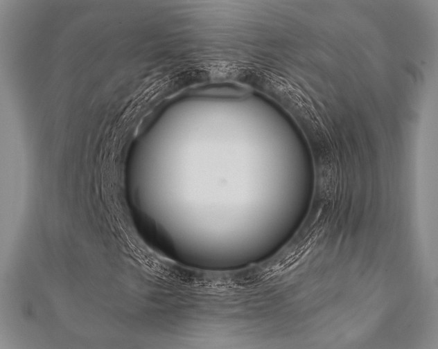 X0000112001249200908031221