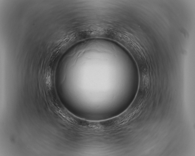 X0000112001250200908031221