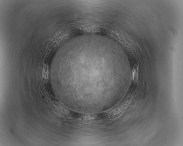 X0000112001251200908031221