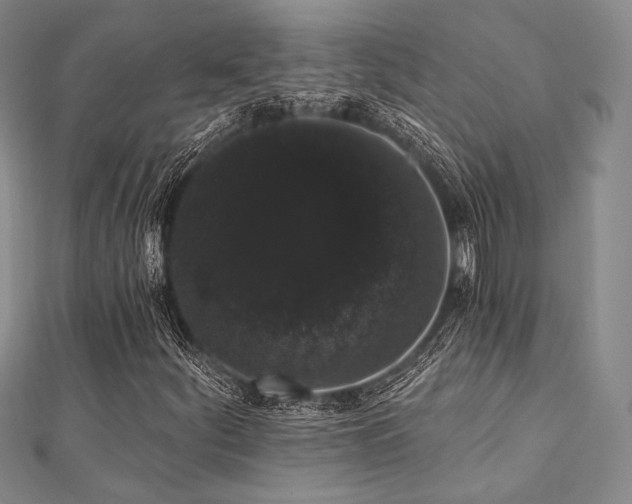 X0000112001252200908031221