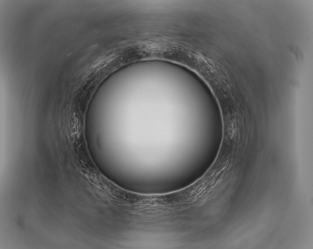 X0000112001253200908031221