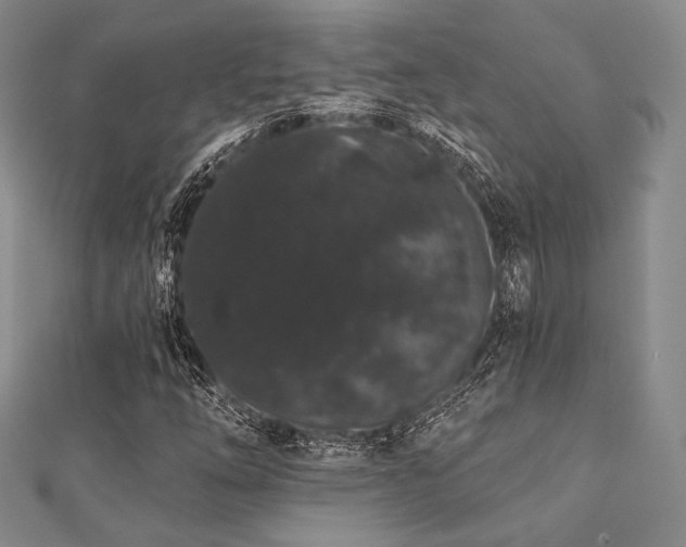 X0000112001254200908031221