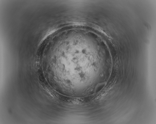 X0000112001255200908031221