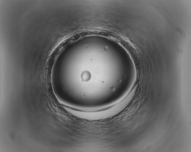 X0000112001256200908031221