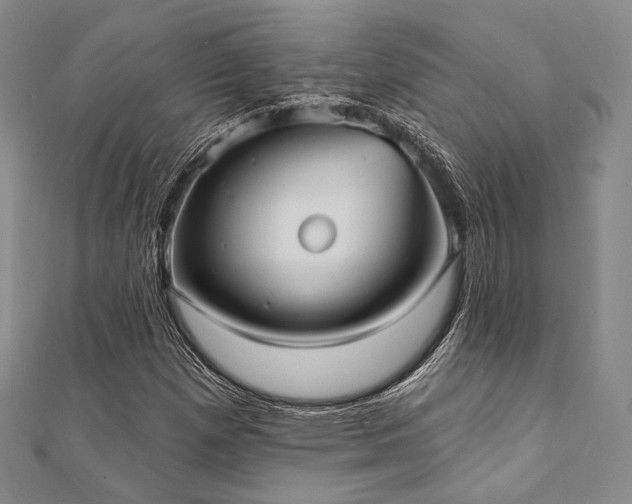 X0000112001257200908031221