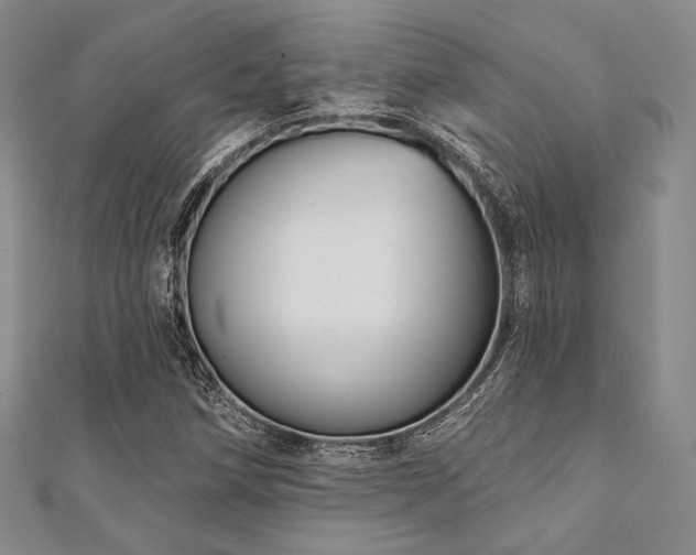 X0000112001258200908031221