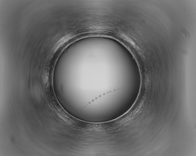 X0000112001259200908031221