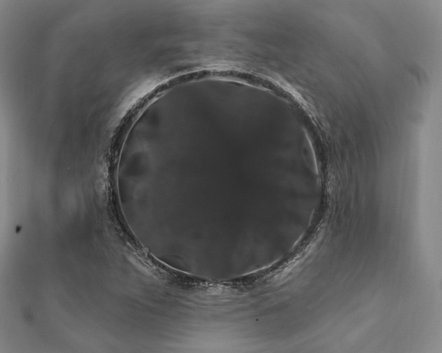 X0000112001263200908031221