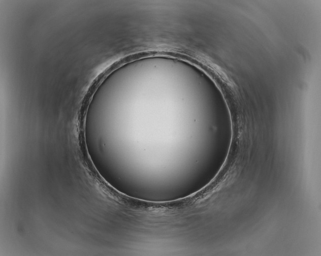 X0000112001264200908031221