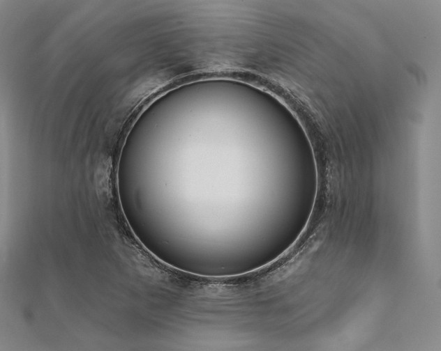 X0000112001265200908031221