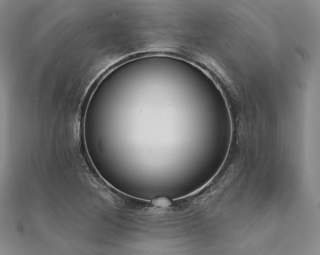 X0000112001268200908031221