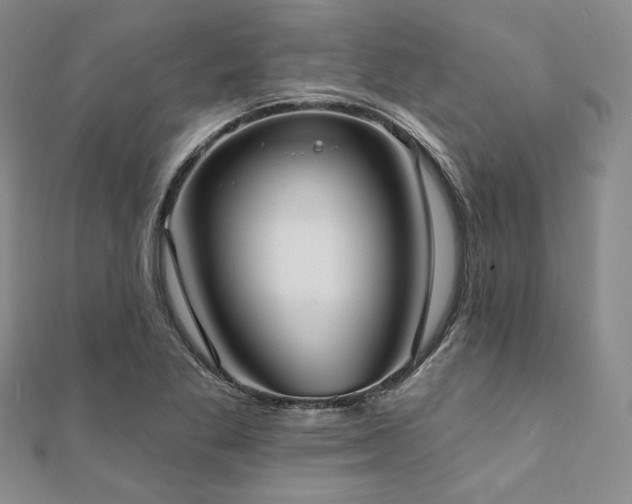 X0000112001269200908031221