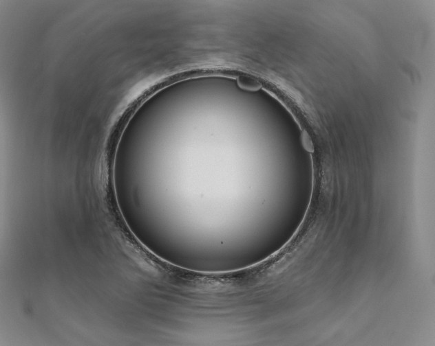 X0000112001270200908031221