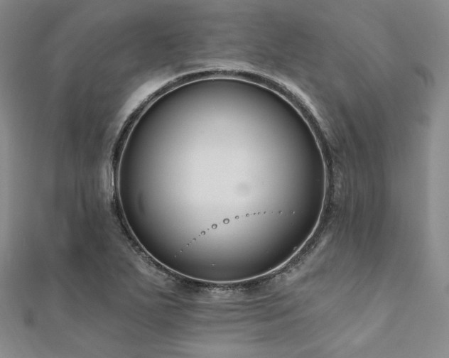 X0000112001271200908031221