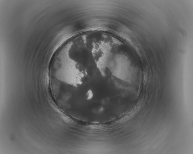 X0000112001274200908031221