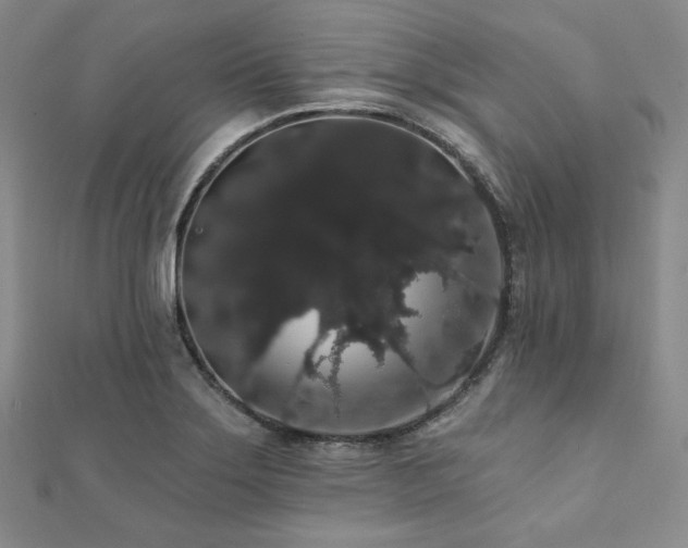 X0000112001275200908031221