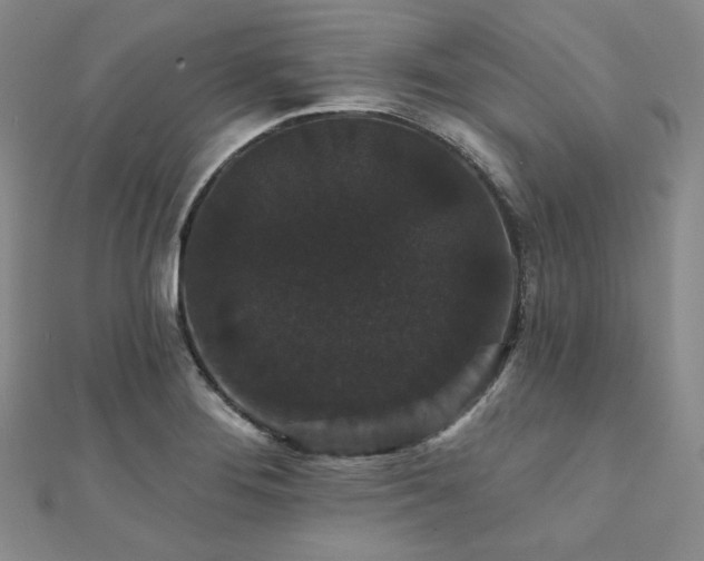 X0000112001276200908031221