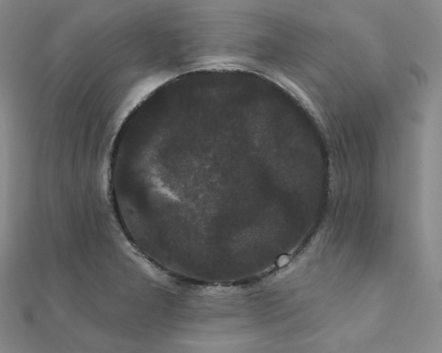 X0000112001277200908031221