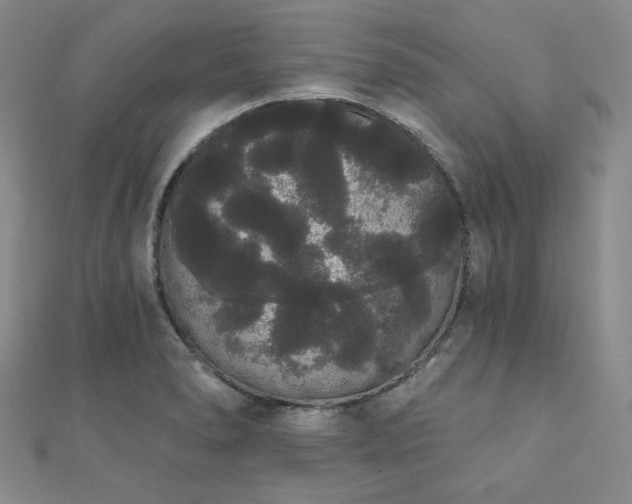 X0000112001278200908031221