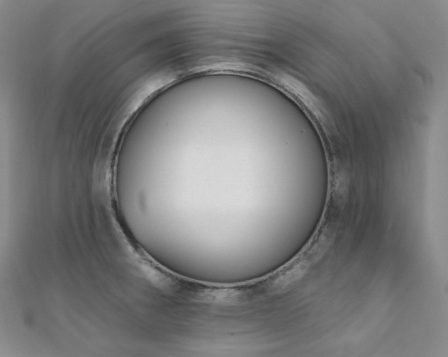 X0000112001282200908031221