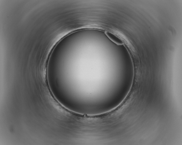 X0000112001284200908031221