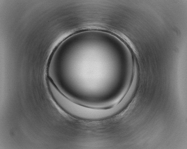 X0000112001285200908031221