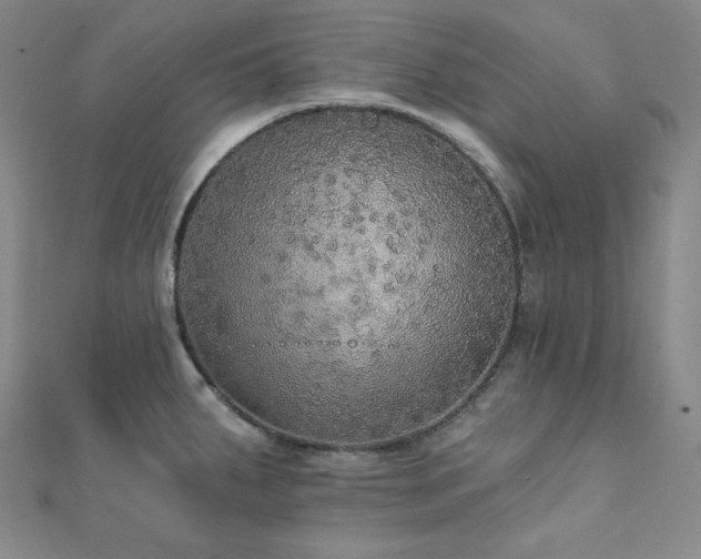 X0000112001287200908031221