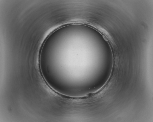 X0000112001288200908031221