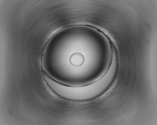 X0000112001289200908031221