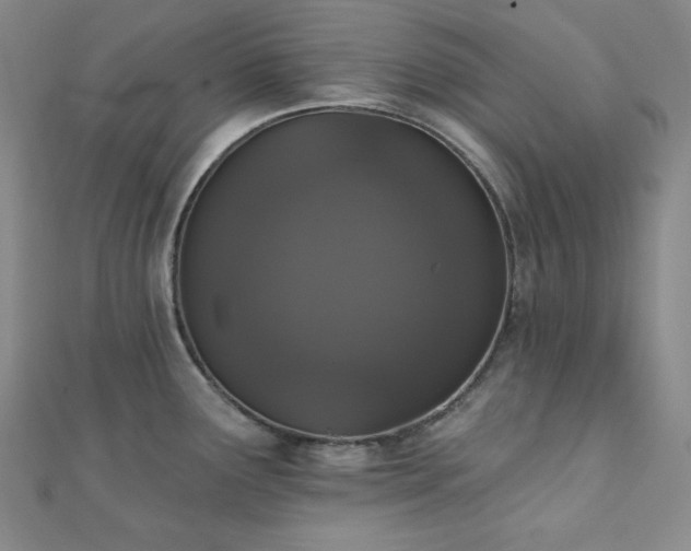 X0000112001291200908031221