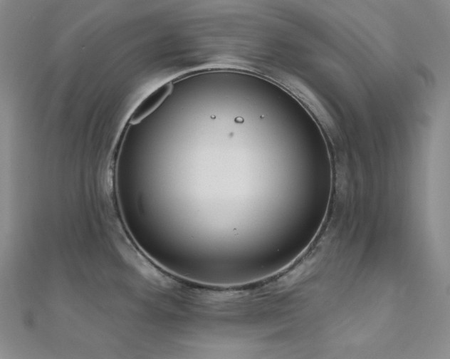 X0000112001292200908031221