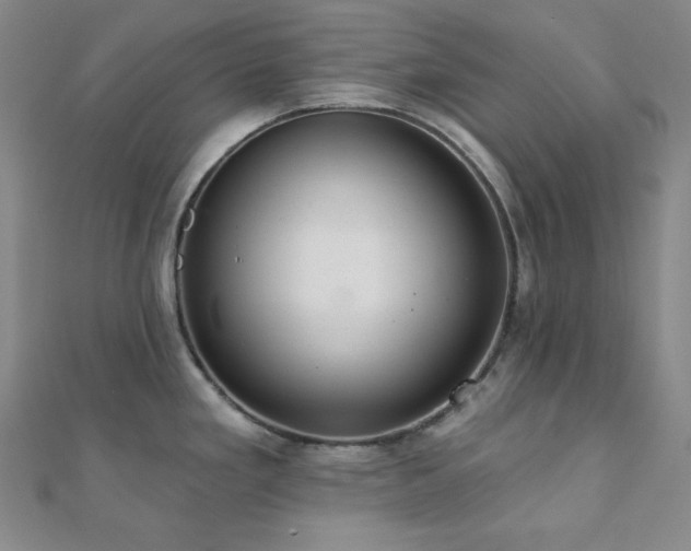 X0000112001293200908031221