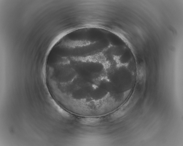 X0000112001294200908031221