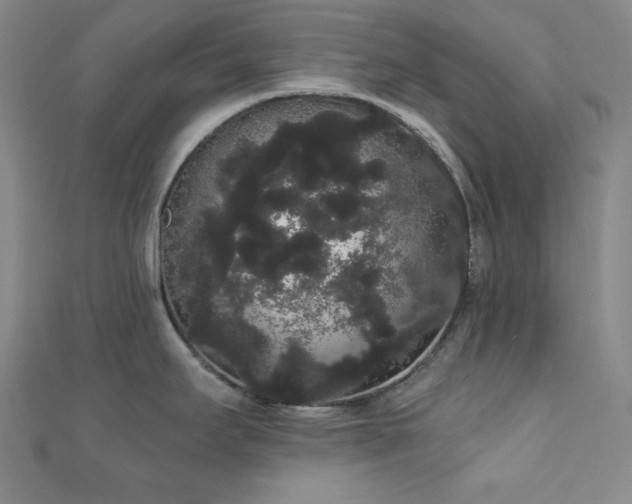 X0000112001295200908031221