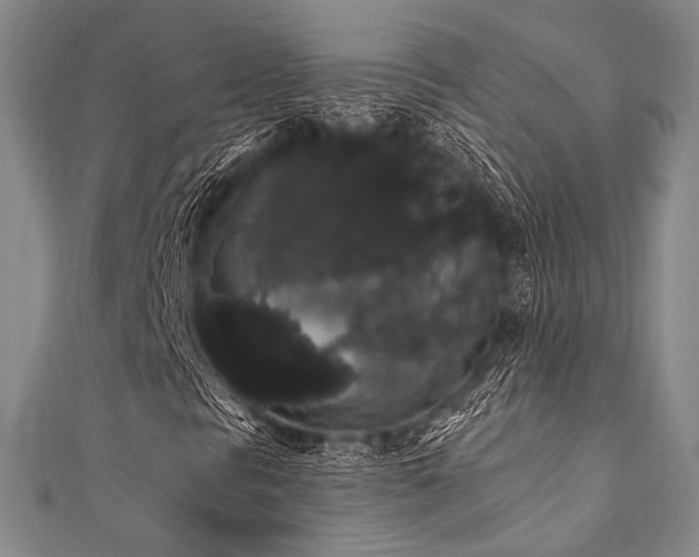 X0000112001297200908031220