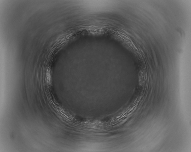 X0000112001298200908031220