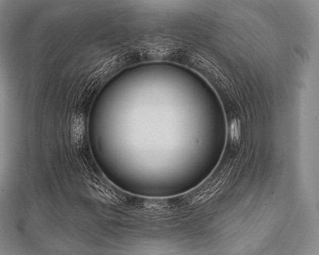 X0000112001299200908031220