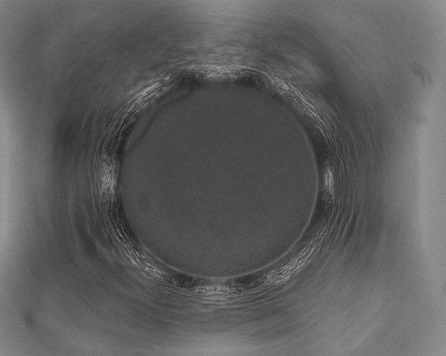 X0000112001300200908031220